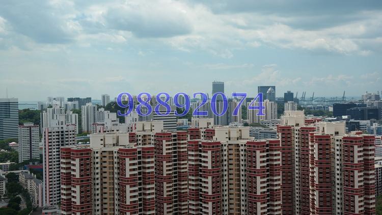 Alex Residences (D3), Apartment #166803372
